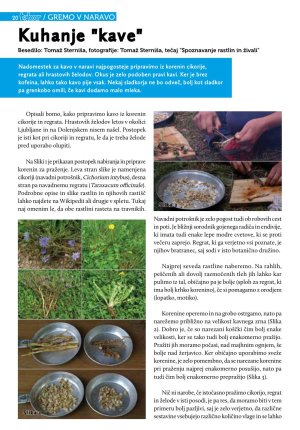 Revija Tabor 2012/10 str. 20 - 21