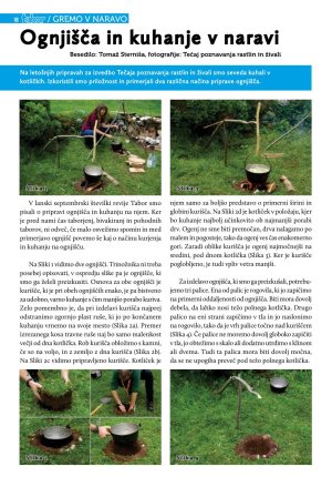 Revija Tabor 2013/7-8 str. 18