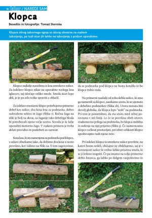Revija Tabor 2015/6 str. 14 - 15