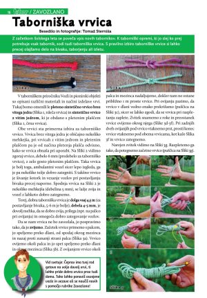 Revija Tabor 2015/9 str. 16