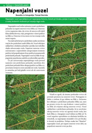 Revija Tabor 2016/1 str. 16