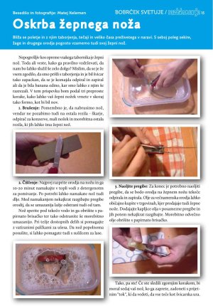 Revija Tabor 2018/7 str. 15